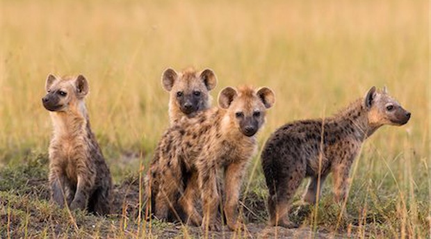 Kidepo National Park A Cultural Highlight Across Africa